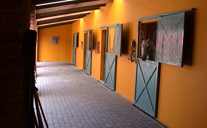 RESIDENCIA PARTICULAR / Quito.